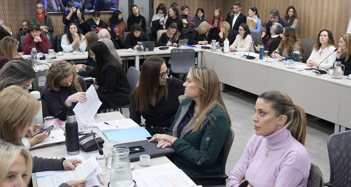 La oposición consiguió respaldo para una ley de emergencia por violencia de género