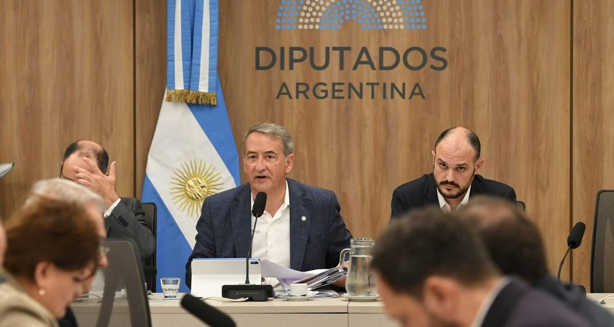 LLA reflota la ley de Tierras del kirchnerismo para blindar el DNU 70 y complicar la sesión opositora