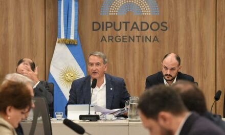 LLA reflota la ley de Tierras del kirchnerismo para blindar el DNU 70 y complicar la sesión opositora