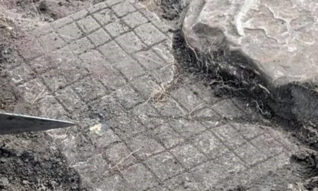 Fabricaron con una impresora 3D una réplica realista de un juego de mesa del Imperio romano hallado durante una excavación