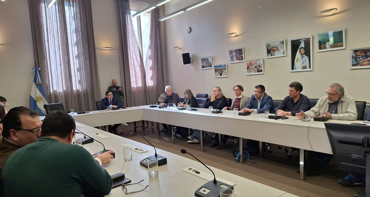 El Gobierno analiza enviar una oferta a las universidades para cerrar el conflicto por el financiamiento
