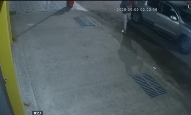 Ladrones “premium”: llegaron en una imponente 4×4, rompieron una vidriera y se llevaron cubiertas en Media Agua