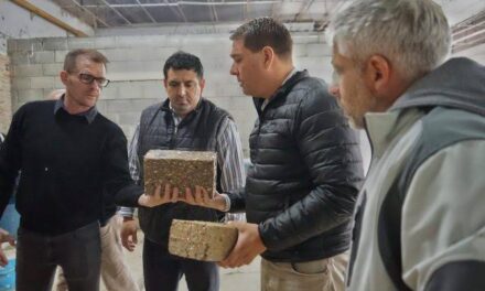 Rawson impulsa construcciones ecológicas y analiza incorporar nuevos materiales