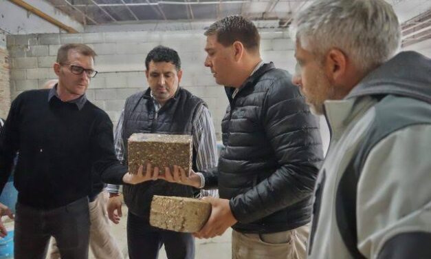Rawson impulsa construcciones ecológicas y analiza incorporar nuevos materiales
