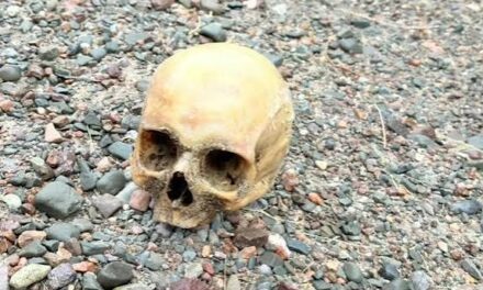 “Alguien lo había depositado ahí”: investigan el misterioso hallazgo de un cráneo humano en Punta Negra