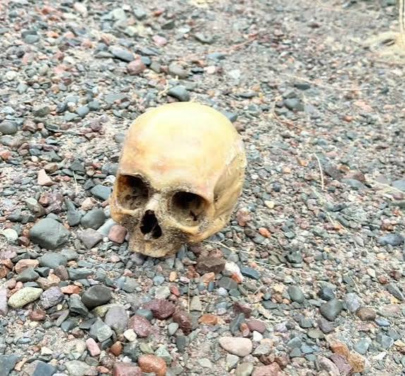 “Alguien lo había depositado ahí”: investigan el misterioso hallazgo de un cráneo humano en Punta Negra