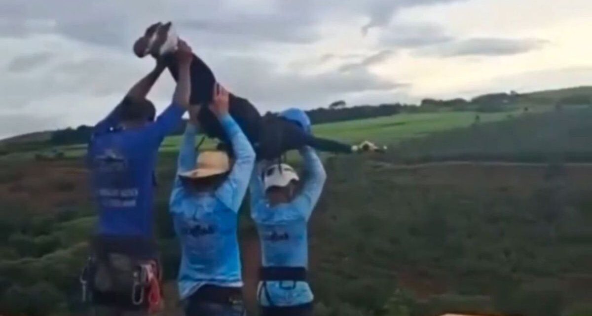 Aseguran que la joven que saltó de un puente para hacer bungee jumping estaba viva tras la caída