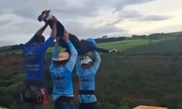 Aseguran que la joven que saltó de un puente para hacer bungee jumping estaba viva tras la caída