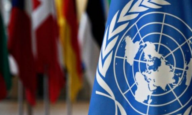 Argentina saldó su deuda con la ONU y busca fortalecer la candidatura de Rafael Grossi
