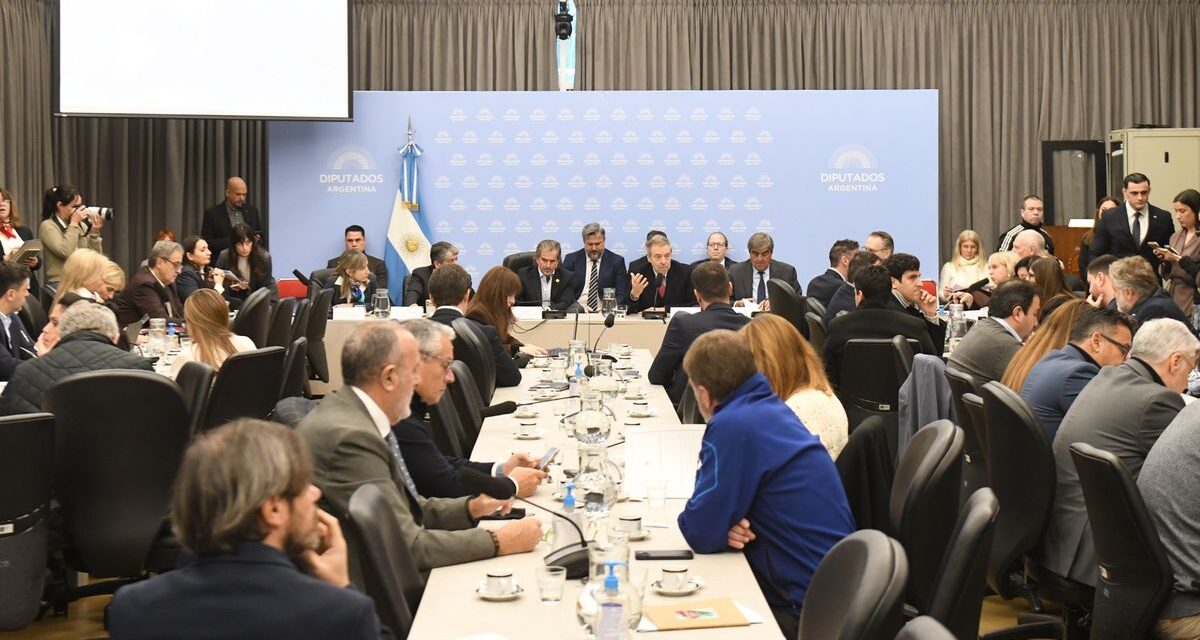 Para defender el Súper RIGI en Diputados, el Gobierno citó energéticas y mineras que no pueden aplicar al régimen
