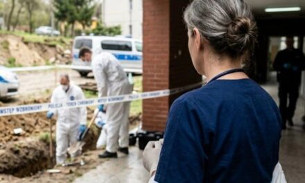 Hallaron 34 fetos enterrados en el jardín de una casa y detuvieron a una médica