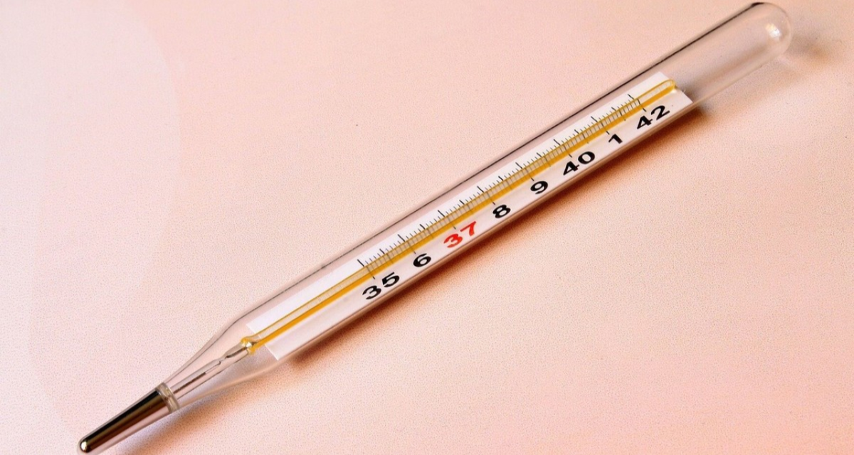 El MIT creó una píldora que mide la temperatura desde el interior del cuerpo