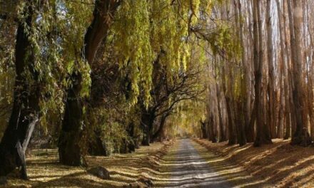Calingasta apuesta al turismo de invierno con trekking, astroturismo y la Ruta de los 7 Templos