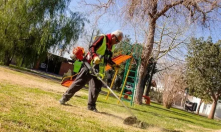 La Ciudad intensifica el mantenimiento de plazas y espacios verdes en la zona sur: conocé el cronograma
