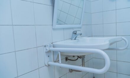 Infraestructura: Escuelas sumarán baños adaptados para alumnos con discapacidad