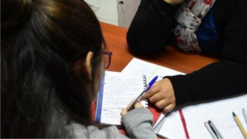 Cristian Andino impulsa una ley para reconocer a las Docentes de Apoyo a la Inclusión como parte del sistema educativo