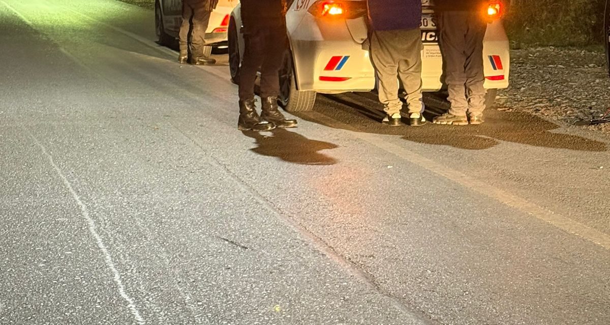 Intentaron robar una pantalla de una parada inteligente y terminaron detenidos