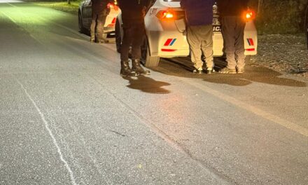 Intentaron robar una pantalla de una parada inteligente y terminaron detenidos