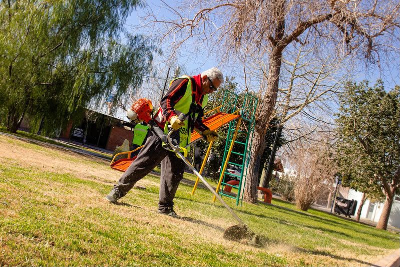 Capital intensifica la limpieza y mantenimiento de plazas durante la próxima semana