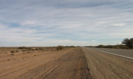 Avanzan los trabajos de limpieza de banquinas sobre la Ruta 20