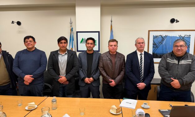 Calingasta respaldó la postura del EPRE para garantizar el desarrollo minero y proteger el sistema eléctrico