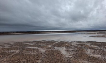 Protegen el Barreal Blanco y restringen el acceso a la Pampa del Leoncito
