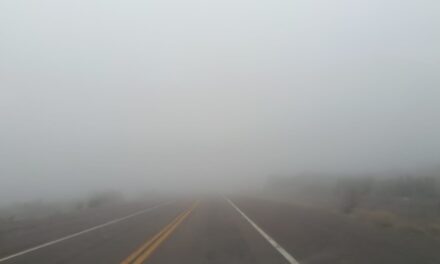 Atención si viajás: alertan por hielo, nieve y bancos de niebla en las rutas nacionales