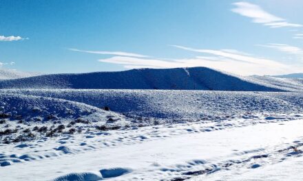 Máxima alerta por el temporal: cierran Agua Negra y advierten por hielo, nieve y niebla en las rutas