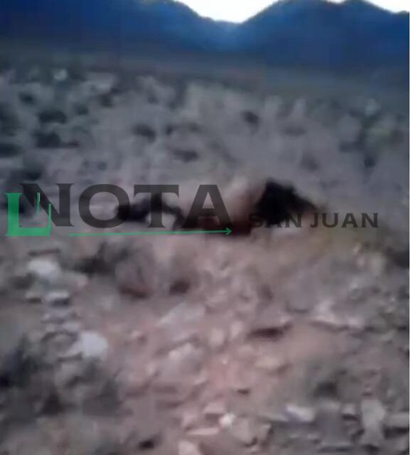 Video: el macabro hallazgo que conmociona a Tudcum