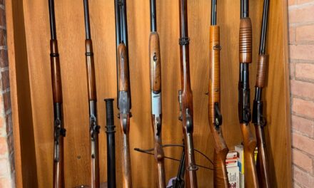 Investigan un robo y terminan descubriendo un arsenal en una casa de Capital