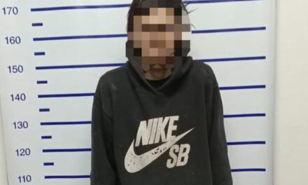 Sorprendido dentro de una vivienda: cayó un joven acusado de robo en Albardón