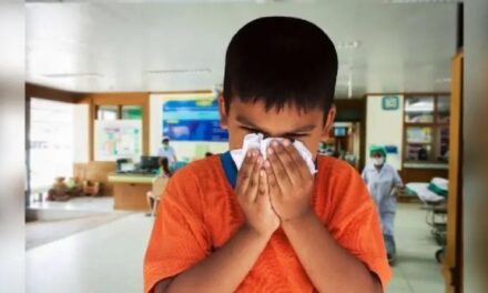 ¿Qué dice el último informe sobre la Gripe A en la provincia?