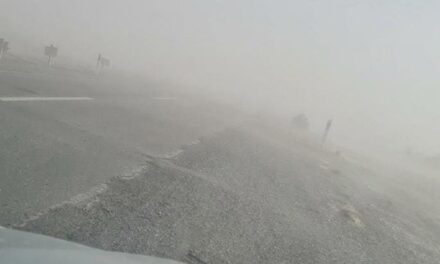 El viento Zonda reduce la visibilidad en la Ruta 40 Norte y piden extremar las precauciones