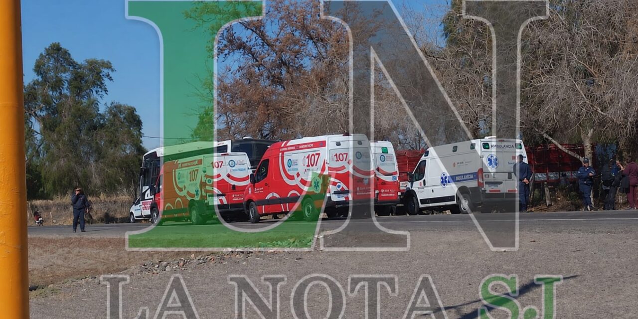 Urgente: choque entre un colectivo y un camión que transportaba cerdos en Ruta 20