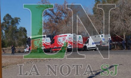 Urgente: choque entre un colectivo y un camión que transportaba cerdos en Ruta 20