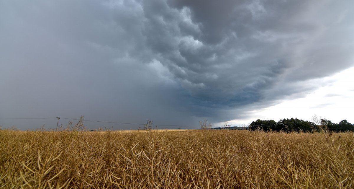 El Gobierno aprobó un plan federal para coordinar la respuesta ante el fenómeno El Niño