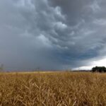 El Gobierno aprobó un plan federal para coordinar la respuesta ante el fenómeno El Niño