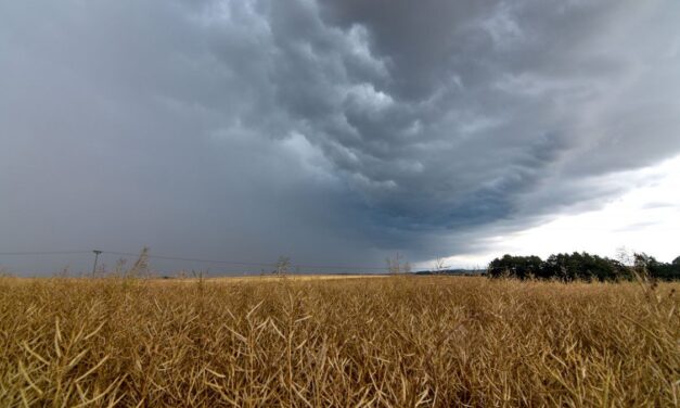 El Gobierno aprobó un plan federal para coordinar la respuesta ante el fenómeno El Niño