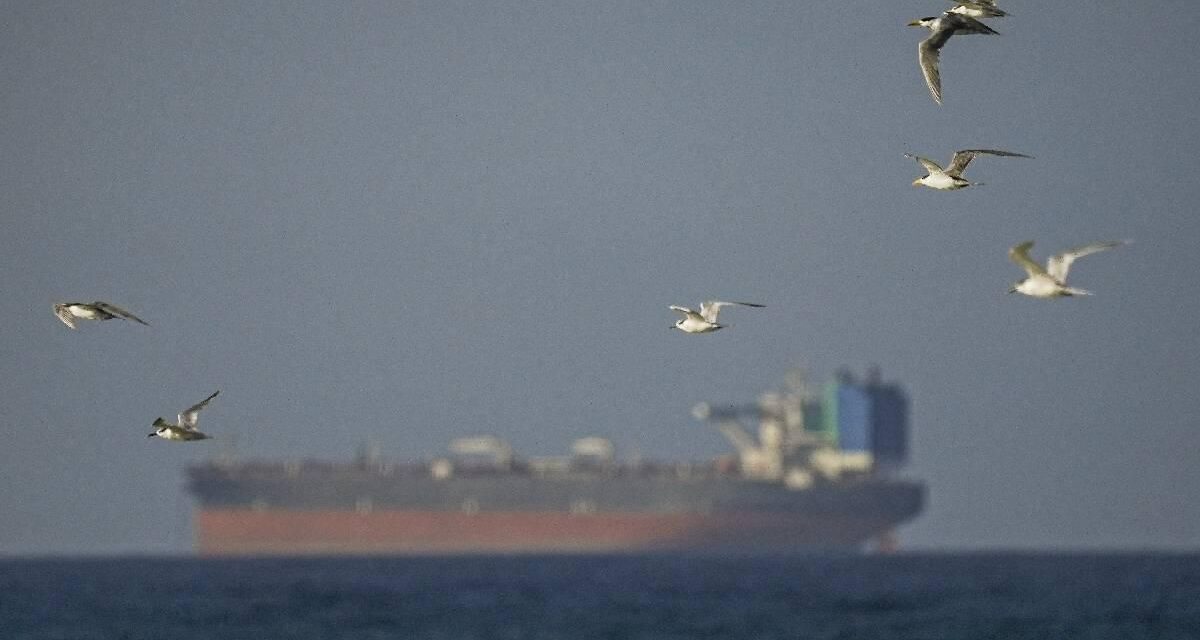 Tras el fin del alto al fuego, EEUU le exigió a Irán dejar de atacar barcos en el estrecho de Ormuz