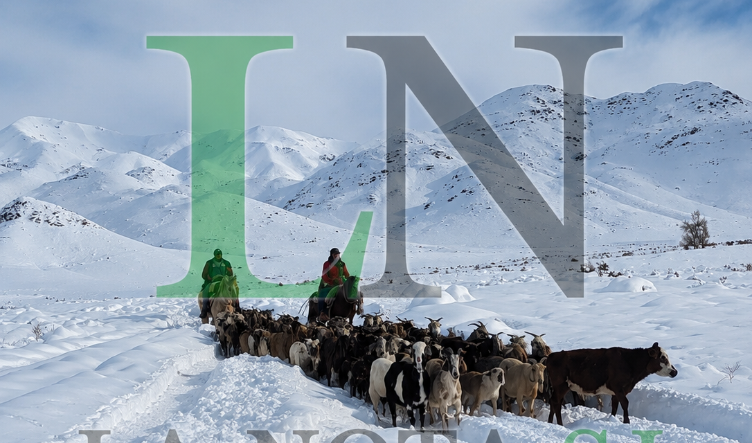 Tras una odisea en la nieve, rescataron unas 200 cabras aisladas en Pismanta