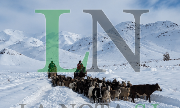 Tras una odisea en la nieve, rescataron unas 200 cabras aisladas en Pismanta