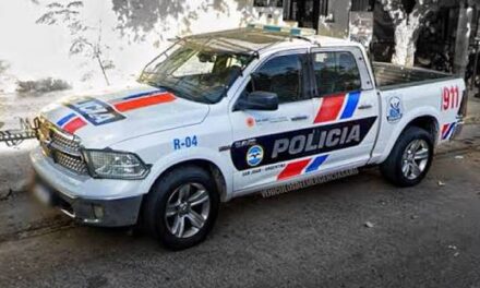 Quiso robar cables de una empresa y terminó tras las rejas