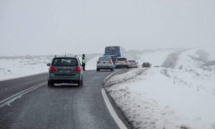 Qué tener en cuenta si viajás por rutas con nieve o agua-nieve: las recomendaciones de Vialidad Nacional