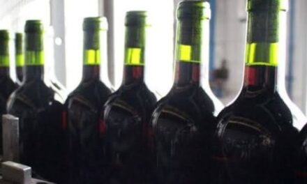 Viñateros cuestionan al INV por diferencias en los stocks de vino y mosto: «Generan incertidumbre en el mercado»