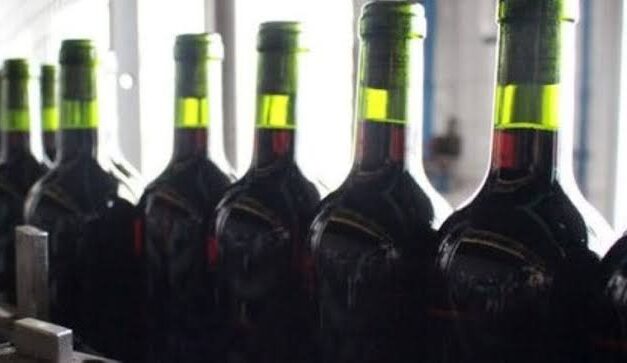 Viñateros cuestionan al INV por diferencias en los stocks de vino y mosto: «Generan incertidumbre en el mercado»