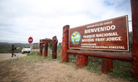 Cuatro sismos sacudieron la costa de Coquimbo y reavivan la atención en la región