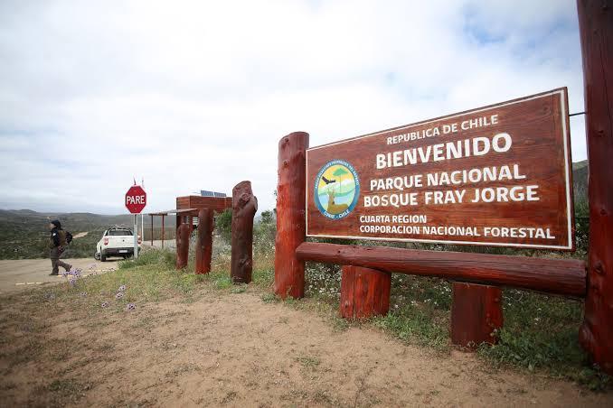 Cuatro sismos sacudieron la costa de Coquimbo y reavivan la atención en la región