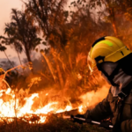 Más de 20.000 evacuados en lo que va del verano europeo