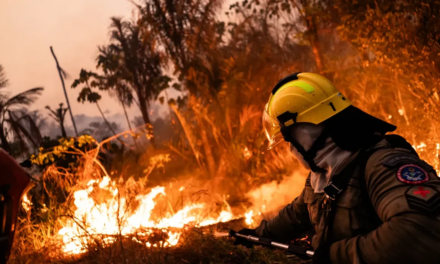 Más de 20.000 evacuados en lo que va del verano europeo
