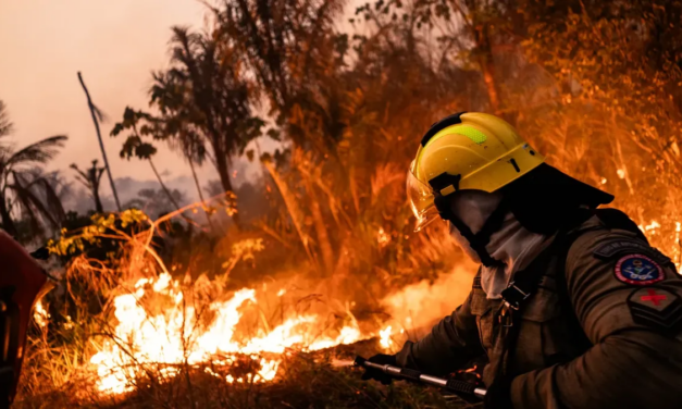 Más de 20.000 evacuados en lo que va del verano europeo